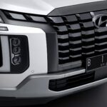 Dark chrome grille