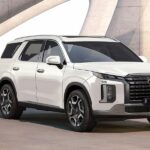 Bluelink connect with your car