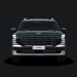 Robust Emerald Pearl